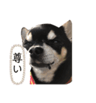 ロック兄さんと姉弟（個別スタンプ：12）