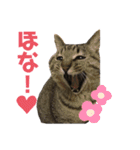 ロック兄さんと姉弟（個別スタンプ：15）