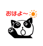 ねこぱんだ(日常用語)（個別スタンプ：1）