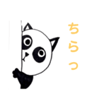 ねこぱんだ(日常用語)（個別スタンプ：14）