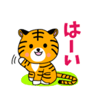 子虎のチャイくん 2（個別スタンプ：1）