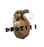 れんたまちゃん（個別スタンプ：4）