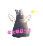 れんたまちゃん（個別スタンプ：7）