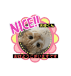 猫ニャンズ777（個別スタンプ：2）