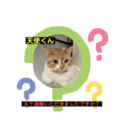 猫ニャンズ777（個別スタンプ：4）