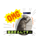猫ニャンズ777（個別スタンプ：14）