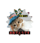 猫ニャンズ777（個別スタンプ：20）