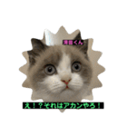 猫ニャンズ777（個別スタンプ：28）