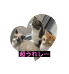 猫ニャンズ777（個別スタンプ：32）