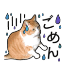 きなちゃんの日常スタンプ（個別スタンプ：10）