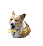 アニーさんのこころ（個別スタンプ：4）