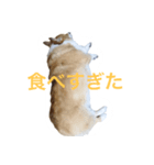 アニーさんのこころ（個別スタンプ：5）