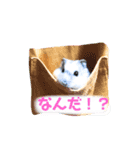 アスキモ作（個別スタンプ：6）