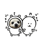 癒しのラグ（個別スタンプ：1）