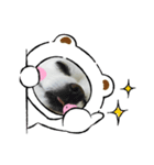 癒しのラグ（個別スタンプ：8）