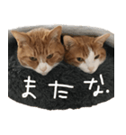 うんボスタンプ（個別スタンプ：10）