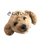 愛しのジョー君（個別スタンプ：2）
