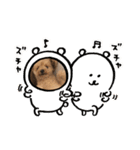 愛しのジョー君（個別スタンプ：15）