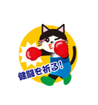 ボクシング猫（個別スタンプ：5）