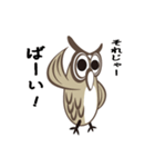 僕はフクロウのミッチー（個別スタンプ：4）