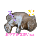 うさちゃんの毎日スタンプ②（個別スタンプ：4）