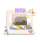 くまごろの日常（個別スタンプ：6）