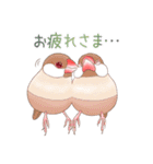 虚弱文鳥ー虚弱さんのための文鳥スタンプー（個別スタンプ：6）