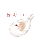 虚弱文鳥ー虚弱さんのための文鳥スタンプー（個別スタンプ：27）