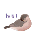 虚弱文鳥ー虚弱さんのための文鳥スタンプー（個別スタンプ：28）