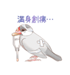 虚弱文鳥ー虚弱さんのための文鳥スタンプー（個別スタンプ：30）