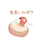 虚弱文鳥ー虚弱さんのための文鳥スタンプー（個別スタンプ：37）