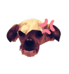 ミックス犬（ヨーチワ）（個別スタンプ：18）