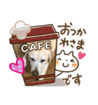 ラブラドール キャンディ（個別スタンプ：6）