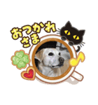 ラブラドール キャンディ（個別スタンプ：32）