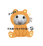 まる君の毎日スタンプ（個別スタンプ：19）