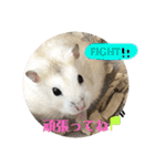 まる君の毎日スタンプ（個別スタンプ：24）