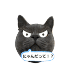 あるにゃんぷ 2（個別スタンプ：1）