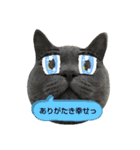 あるにゃんぷ 2（個別スタンプ：3）