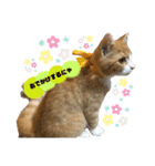 まーにゃんの1日（個別スタンプ：8）