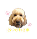 セブキラスタンプ（個別スタンプ：5）