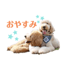 セブキラスタンプ（個別スタンプ：7）
