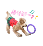 セブキラスタンプ（個別スタンプ：9）