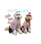 セブキラスタンプ（個別スタンプ：11）