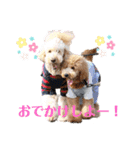 セブキラスタンプ（個別スタンプ：15）