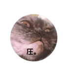 ねことらくがきさん（個別スタンプ：8）