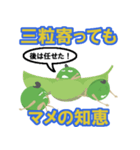 まめんちゅのことわざ その1（個別スタンプ：1）