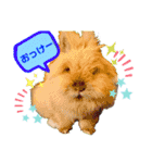 まさむね＆こじゅうろう（個別スタンプ：1）