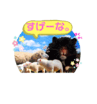 まさむね＆こじゅうろう（個別スタンプ：2）