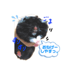 まさむね＆こじゅうろう（個別スタンプ：3）