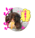まさむね＆こじゅうろう（個別スタンプ：5）
